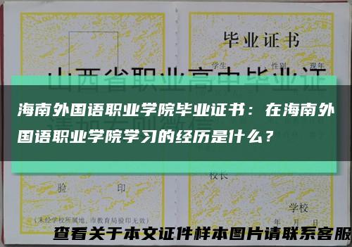 海南外國語職業學院畢業證書：在海南外國語職業學院學習的經歷是什么？縮略圖