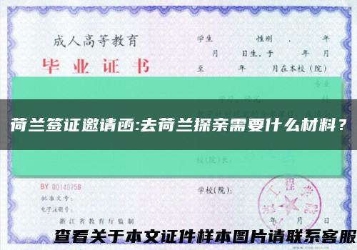 荷蘭簽證邀請函:去荷蘭探親需要什么材料？縮略圖