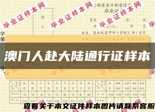 澳門人赴大陸通行證樣本縮略圖