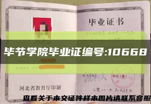 畢節學院畢業證編號:10668縮略圖