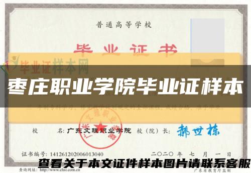 棗莊職業學院畢業證樣本縮略圖