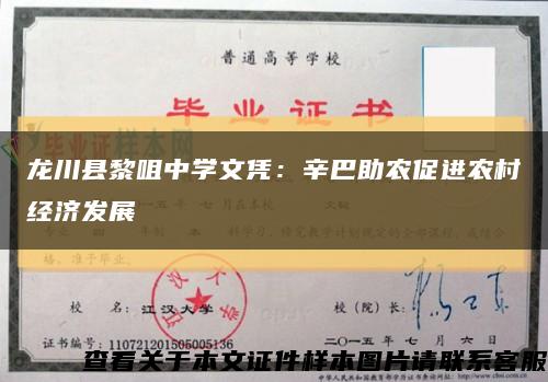 龍川縣黎咀中學文憑：辛巴助農促進農村經濟發展縮略圖