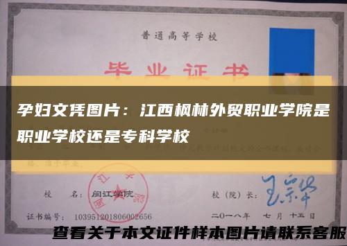 孕婦文憑圖片：江西楓林外貿職業學院是職業學校還是?？茖W?？s略圖
