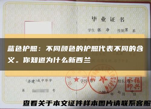 藍色護照：不同顏色的護照代表不同的含義。你知道為什么新西蘭縮略圖
