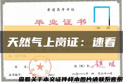天然氣上崗證：速看縮略圖