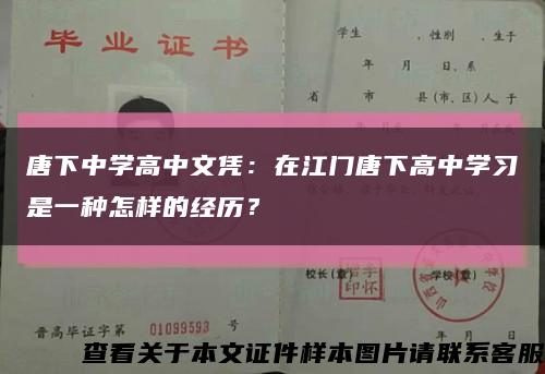 唐下中學高中文憑：在江門唐下高中學習是一種怎樣的經歷？縮略圖