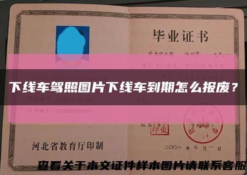 下線車駕照圖片下線車到期怎么報廢？縮略圖