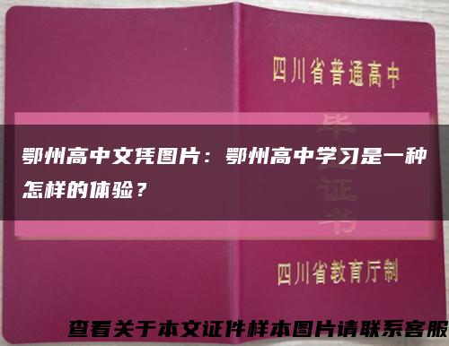 鄂州高中文憑圖片：鄂州高中學習是一種怎樣的體驗？縮略圖