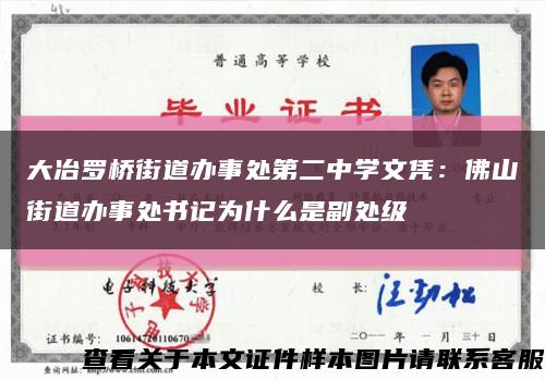 大冶羅橋街道辦事處第二中學文憑：佛山街道辦事處書記為什么是副處級縮略圖