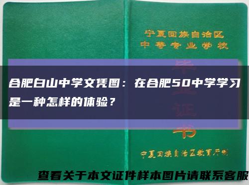 合肥白山中學文憑圖：在合肥50中學學習是一種怎樣的體驗？縮略圖