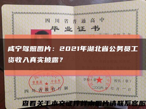 咸寧駕照圖片：2021年湖北省公務員工資收入真實披露？縮略圖