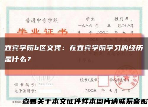 宜賓學院b區文憑：在宜賓學院學習的經歷是什么？縮略圖