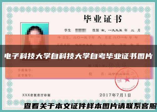 電子科技大學自科技大學自考畢業證書圖片縮略圖