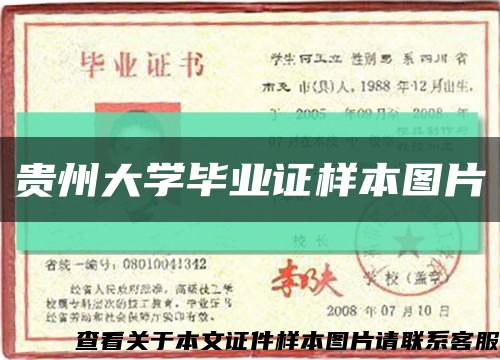 貴州大學畢業證樣本圖片縮略圖