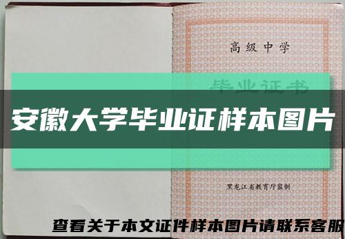安徽大學畢業證樣本圖片縮略圖
