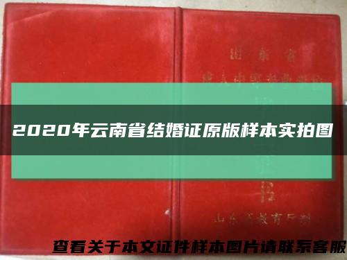 2020年云南省結婚證原版樣本實拍圖縮略圖