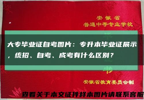 大專畢業證自考圖片：專升本畢業證展示，統招、自考、成考有什么區別？縮略圖
