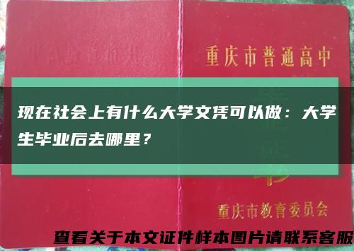 現在社會上有什么大學文憑可以做：大學生畢業后去哪里？縮略圖