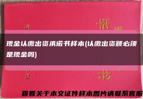 現金認繳出資承諾書樣本(認繳出資額必須是現金嗎)縮略圖