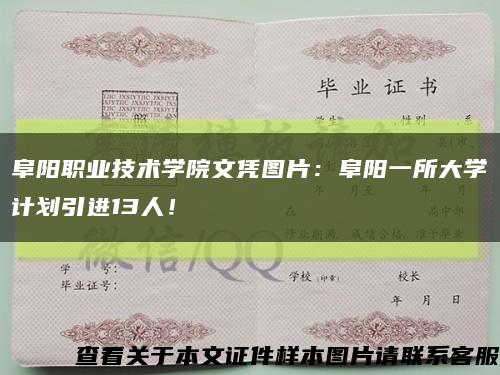 阜陽職業技術學院文憑圖片：阜陽一所大學計劃引進13人！縮略圖
