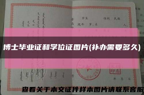博士畢業證和學位證圖片(補辦需要多久)縮略圖