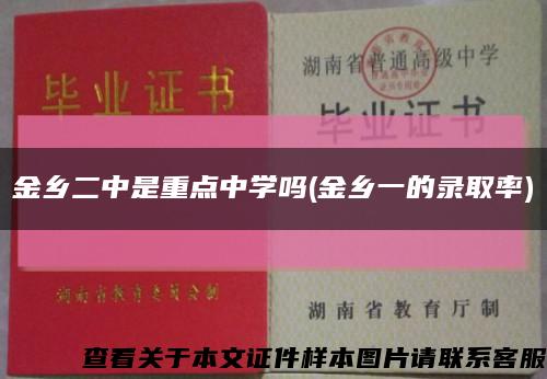 金鄉二中是重點中學嗎(金鄉一的錄取率)縮略圖