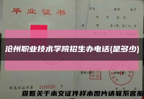 滄州職業技術學院招生辦電話(是多少)縮略圖