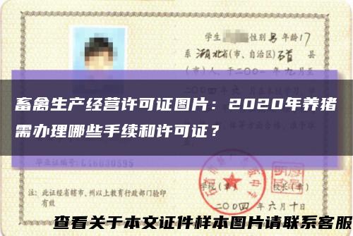 畜禽生產經營許可證圖片：2020年養豬需辦理哪些手續和許可證？縮略圖