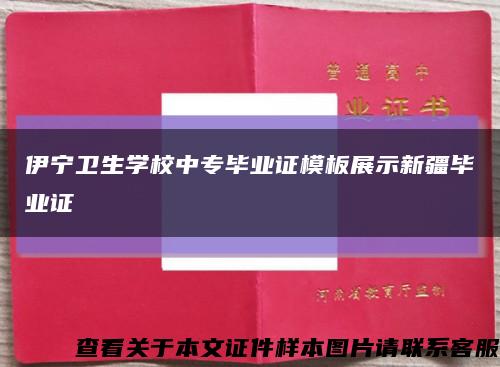伊寧衛生學校中專畢業證模板展示新疆畢業證縮略圖