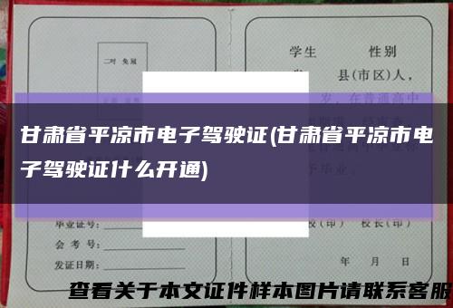 甘肅省平涼市電子駕駛證(甘肅省平涼市電子駕駛證什么開通)縮略圖