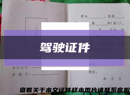 駕駛證件縮略圖