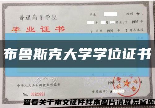 布魯斯克大學學位證書縮略圖