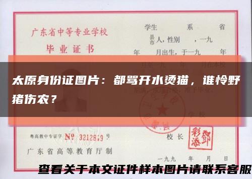 太原身份證圖片：都罵開水燙貓，誰憐野豬傷農？縮略圖