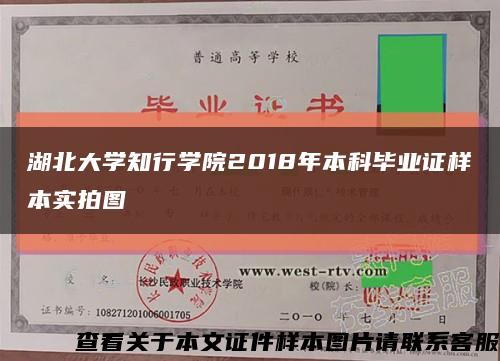 湖北大學知行學院2018年本科畢業證樣本實拍圖縮略圖