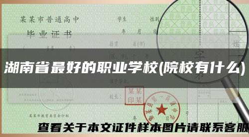 湖南省最好的職業學校(院校有什么)縮略圖
