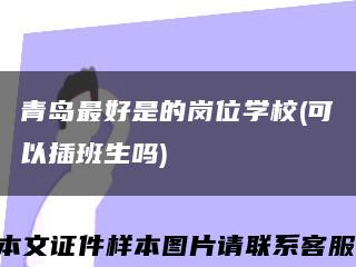 青島最好是的崗位學校(可以插班生嗎)縮略圖