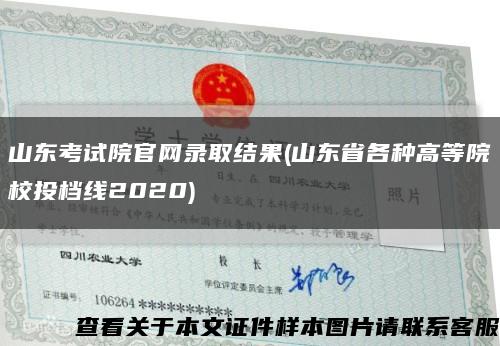 山東考試院官網錄取結果(山東省各種高等院校投檔線2020)縮略圖