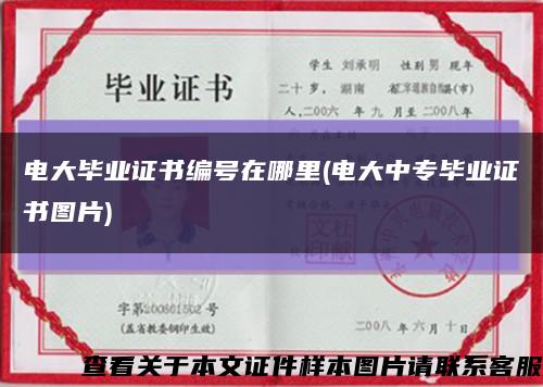 電大畢業證書編號在哪里(電大中專畢業證書圖片)縮略圖