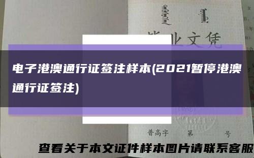 電子港澳通行證簽注樣本(2021暫停港澳通行證簽注)縮略圖