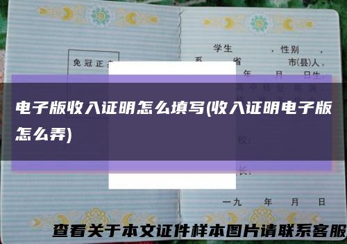 電子版收入證明怎么填寫(收入證明電子版怎么弄)縮略圖
