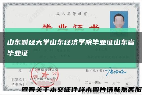 山東財經大學山東經濟學院畢業證山東省畢業證縮略圖
