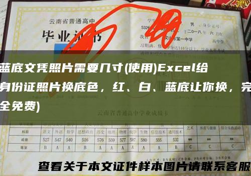 藍底文憑照片需要幾寸(使用)Excel給身份證照片換底色，紅、白、藍底讓你換，完全免費)縮略圖