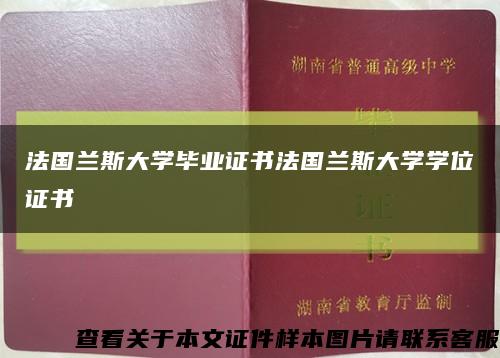 法國蘭斯大學畢業證書法國蘭斯大學學位證書縮略圖