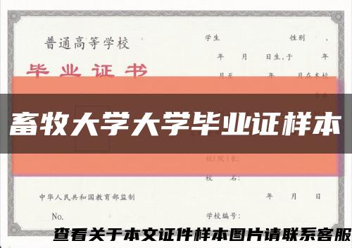 畜牧大學大學畢業證樣本縮略圖