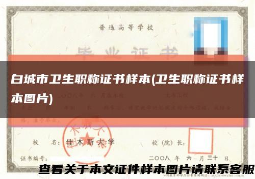 白城市衛生職稱證書樣本(衛生職稱證書樣本圖片)縮略圖