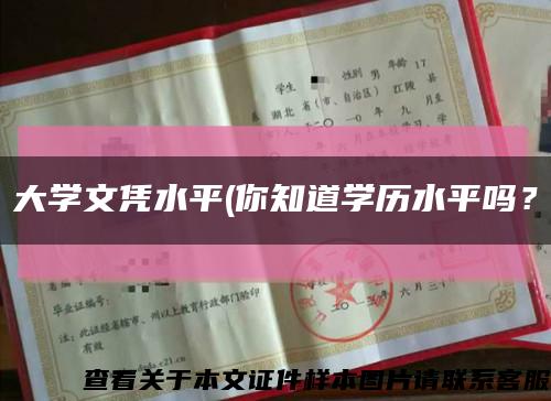 大學文憑水平(你知道學歷水平嗎？縮略圖