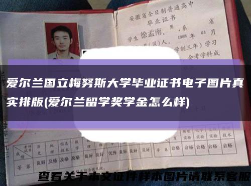 愛爾蘭國立梅努斯大學畢業證書電子圖片真實排版(愛爾蘭留學獎學金怎么樣)縮略圖