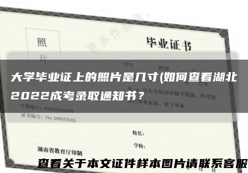 大學畢業證上的照片是幾寸(如何查看湖北2022成考錄取通知書？縮略圖