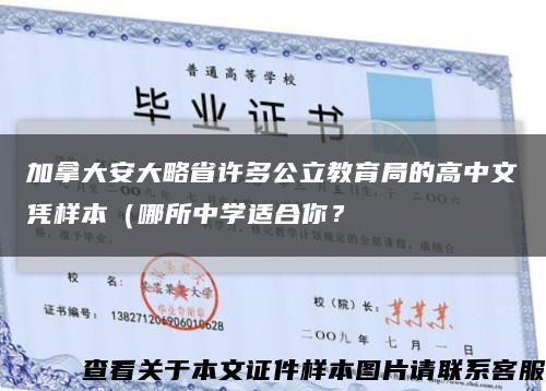 加拿大安大略省許多公立教育局的高中文憑樣本（哪所中學適合你？縮略圖