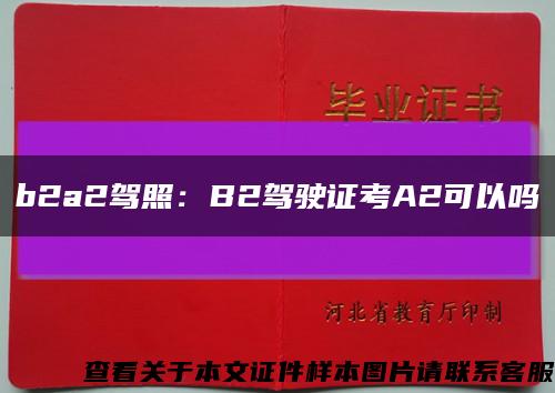 b2a2駕照：B2駕駛證考A2可以嗎縮略圖